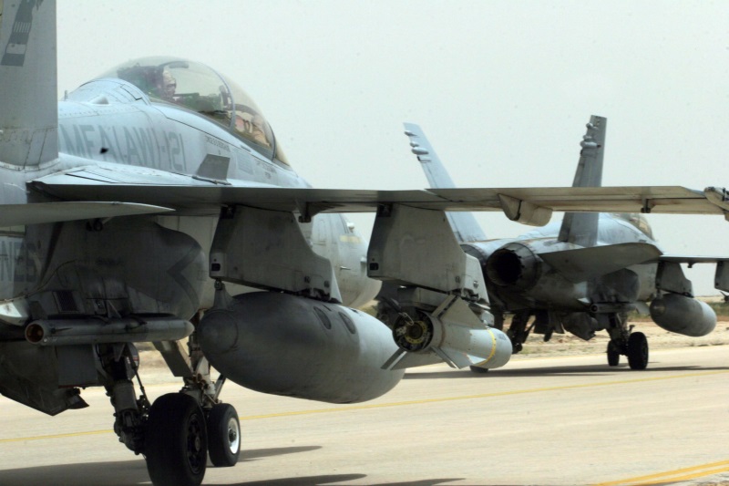 Hornets in Iraq