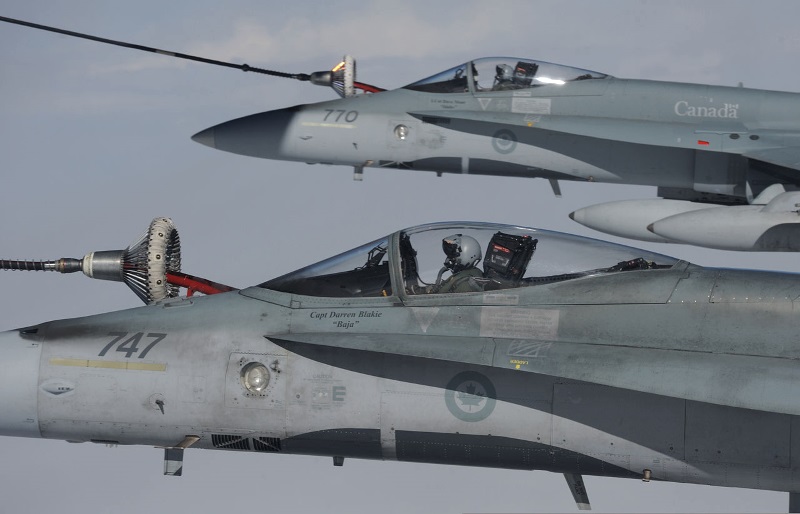 Canadian Hornets
