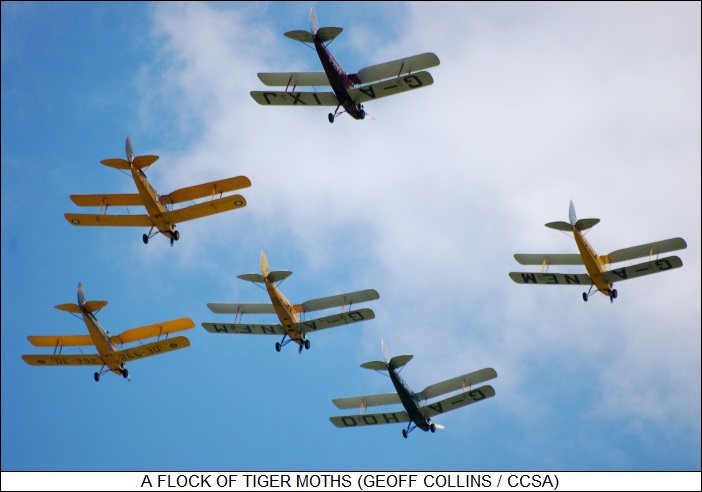 flock of de Havilland DH.82 Tiger Moths
