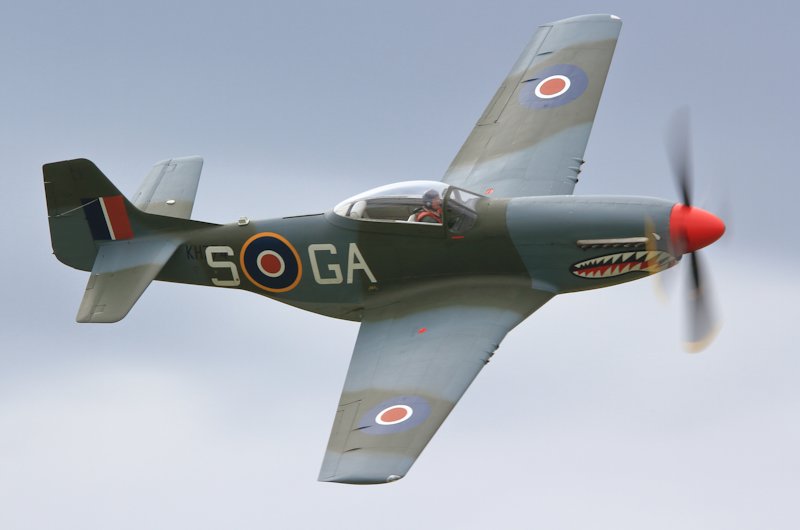 P-51D in RAF colors